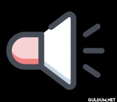 video sesleri flood videolarsivi