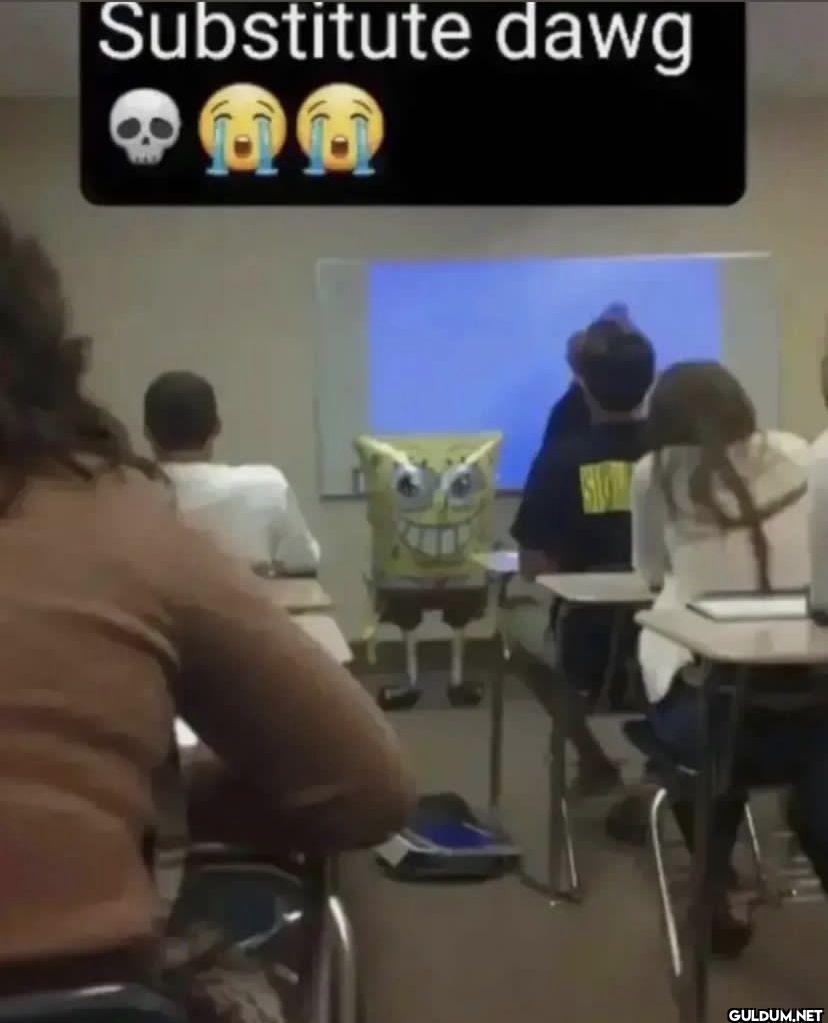 Substitute dawg