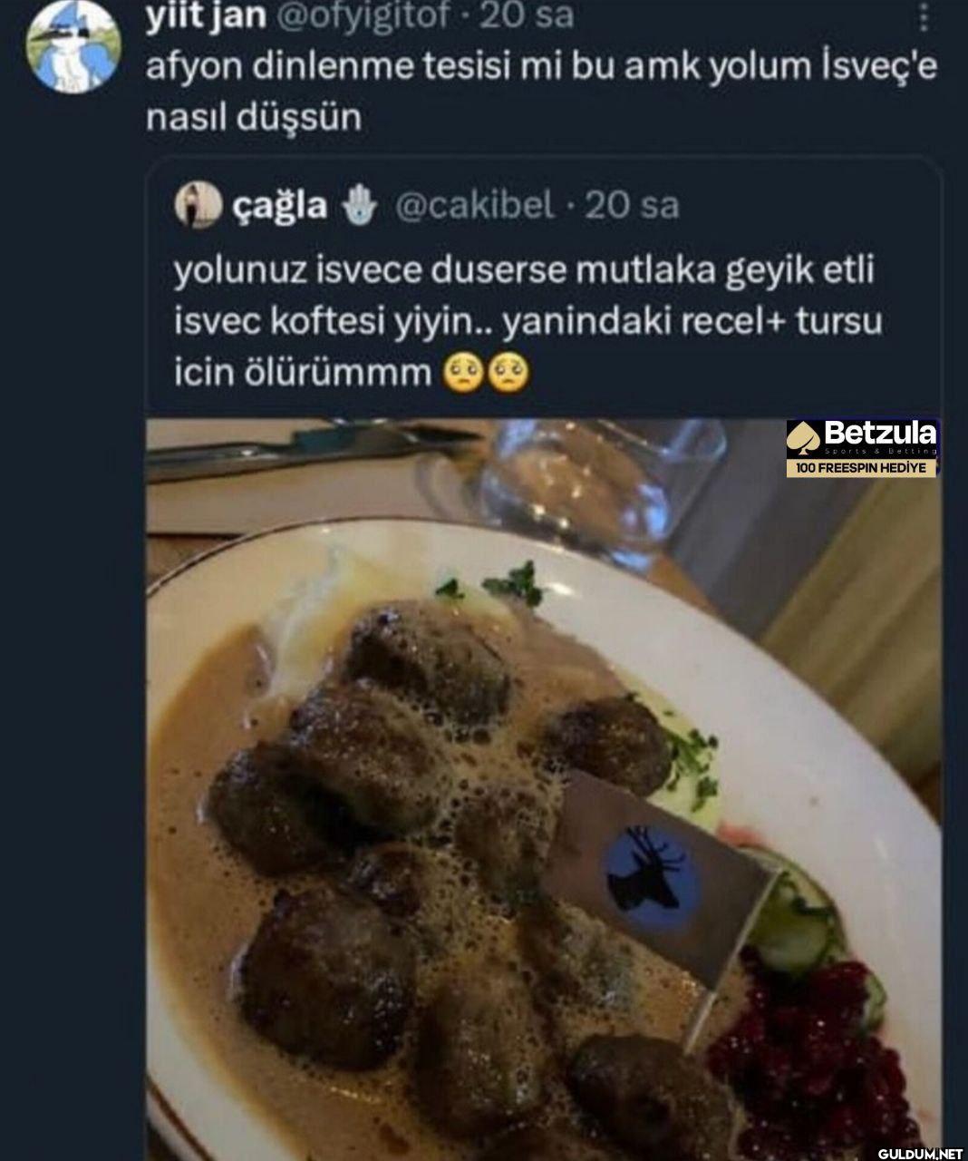 - 20 sa afyon dinlenme...