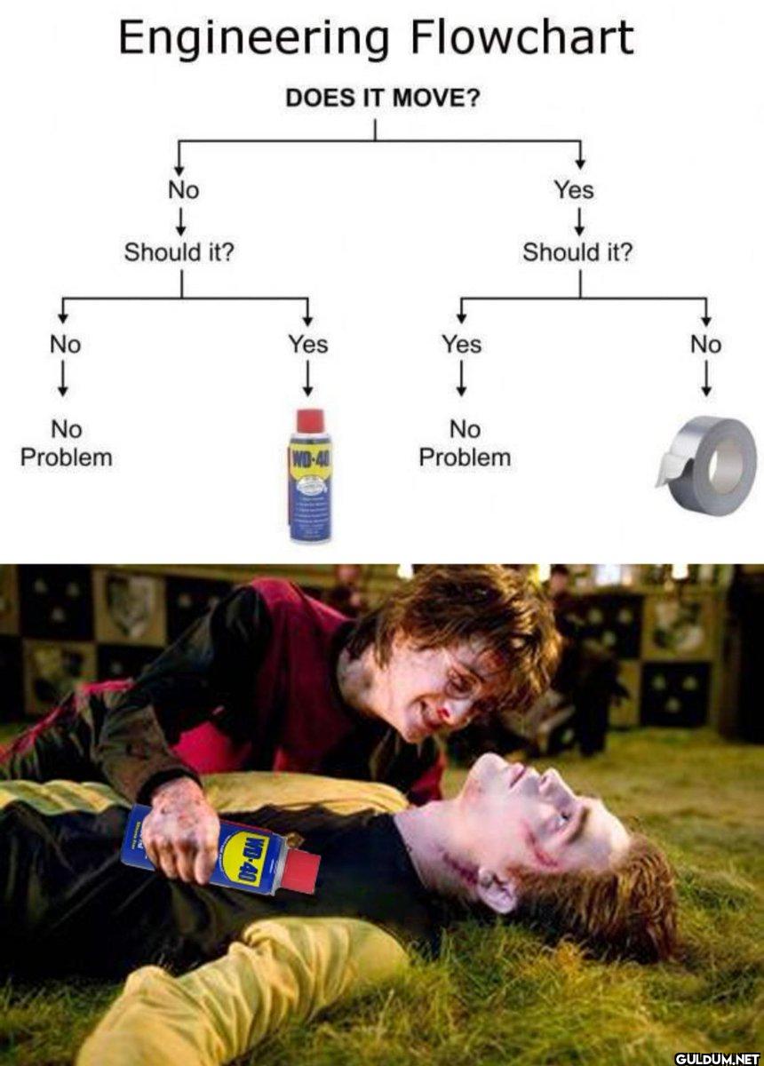 harry potter ve cedric...