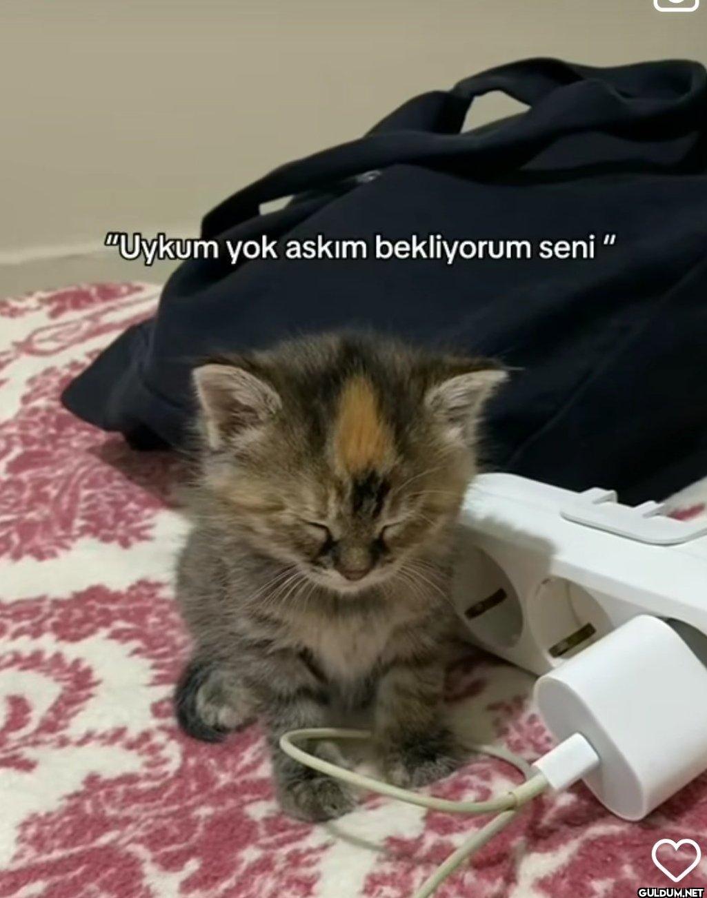 อ "Uykum yok askım...