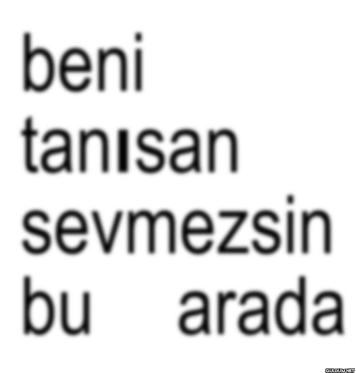 beni tanisan sevmezsin bu arada