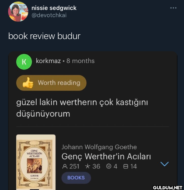 book review budur K...