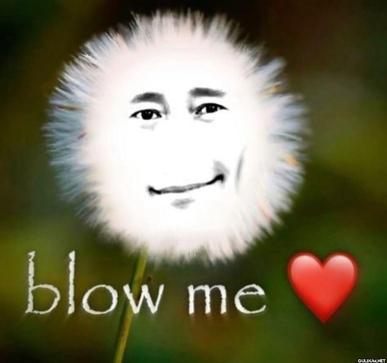 blow me