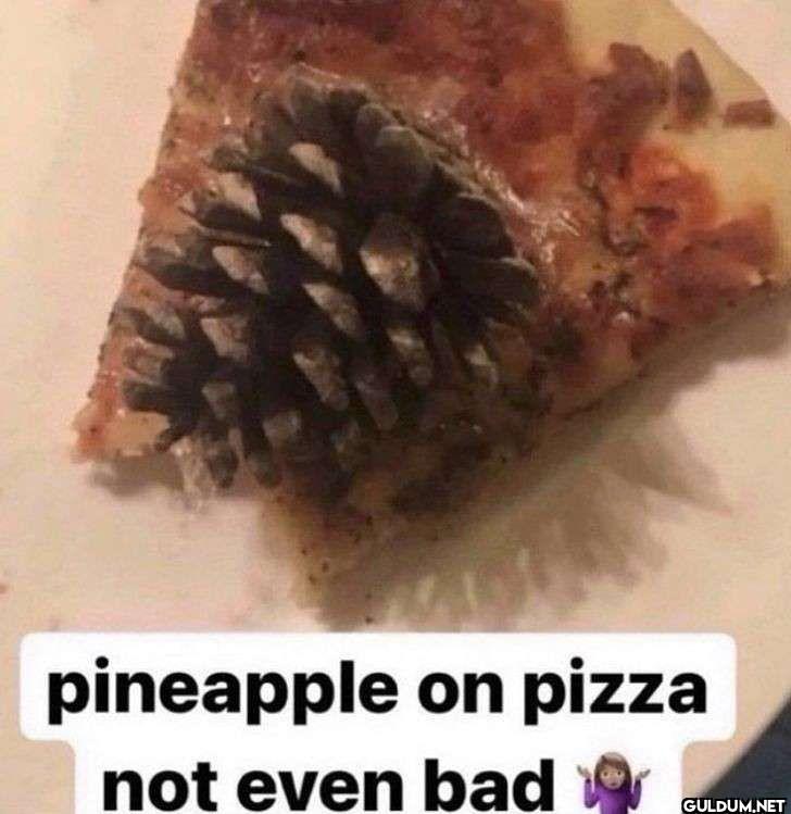 pineapple on pizza not even bad