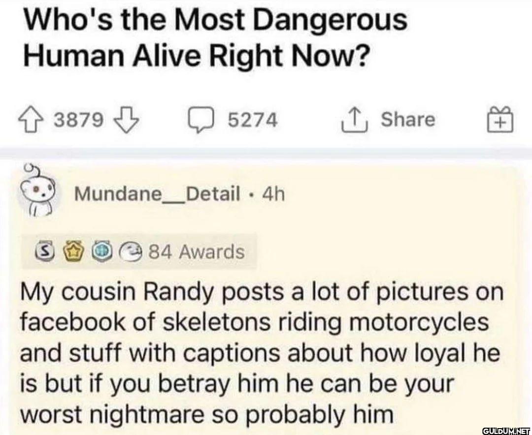 Who's the Most Dangerous...