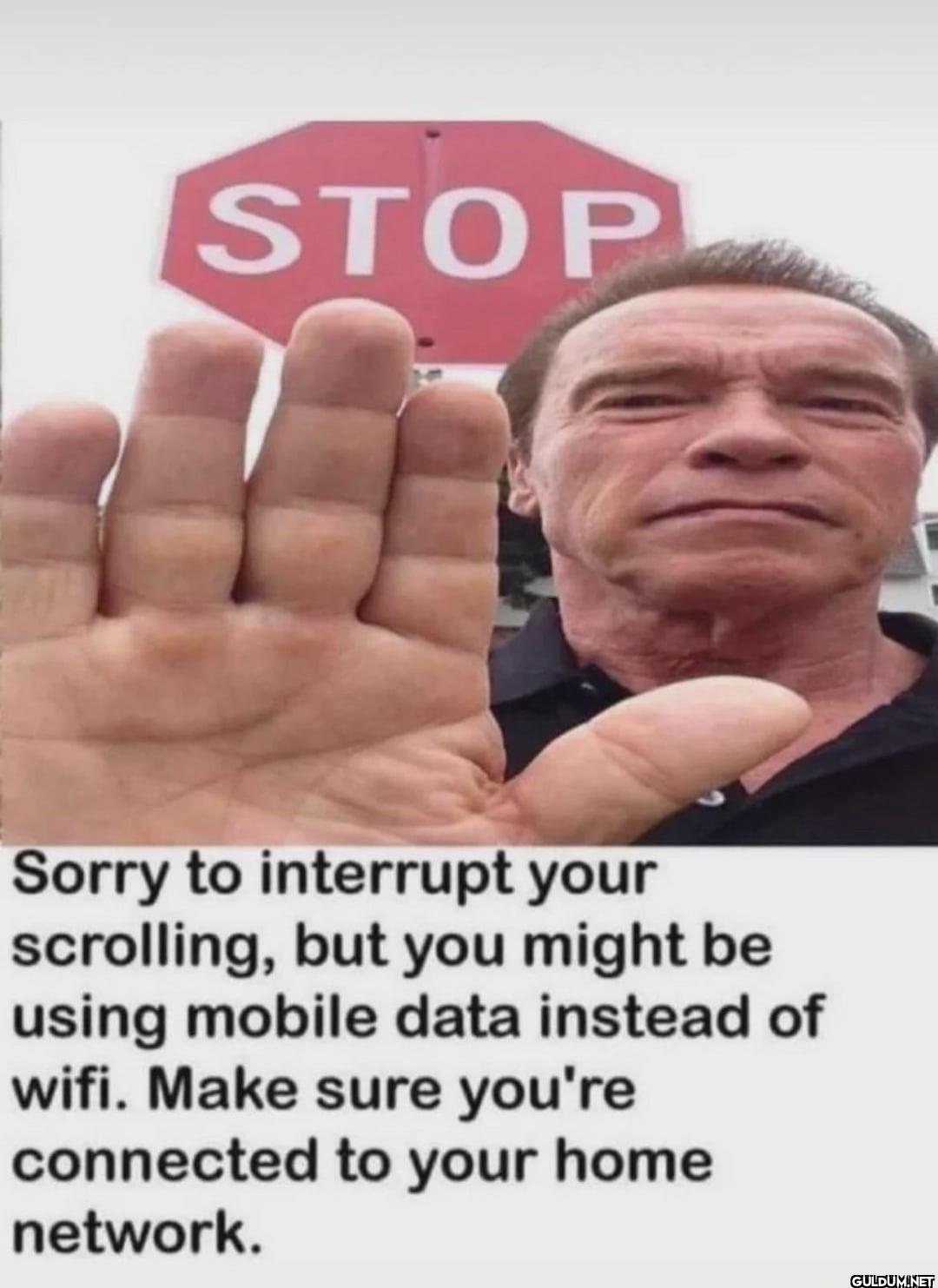 STOP Sorry to interrupt...