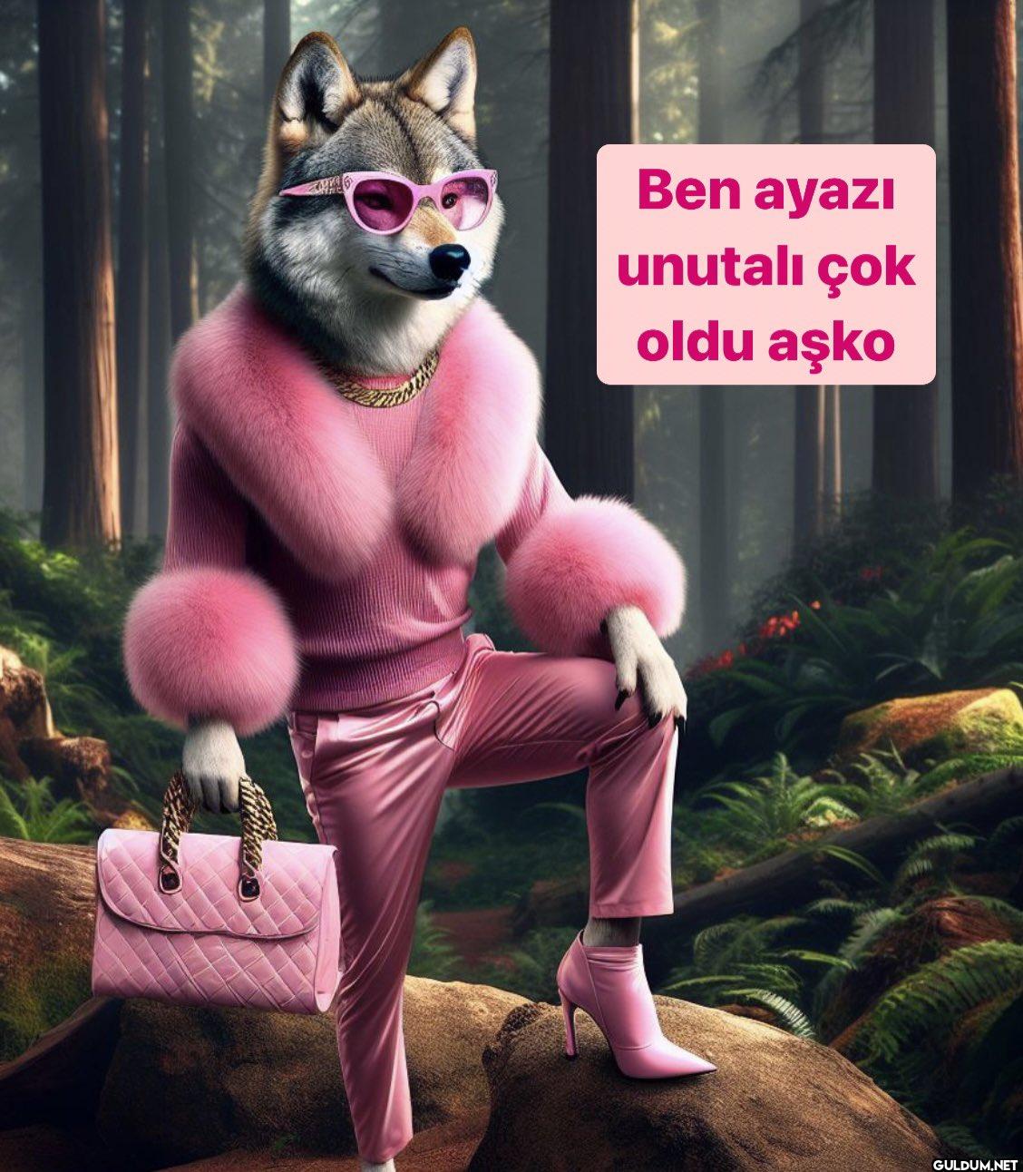 Ben ayazı unutalı çok oldu aşko
