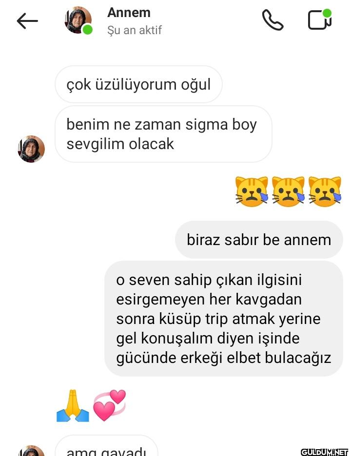 ← Annem Şu an aktif çok...