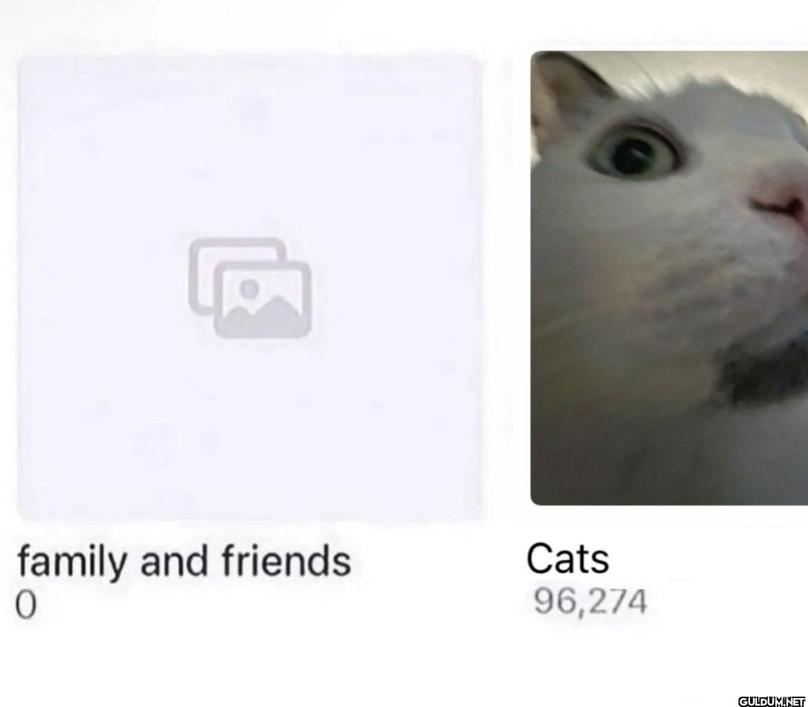 family and friends 0 Cats 96,274