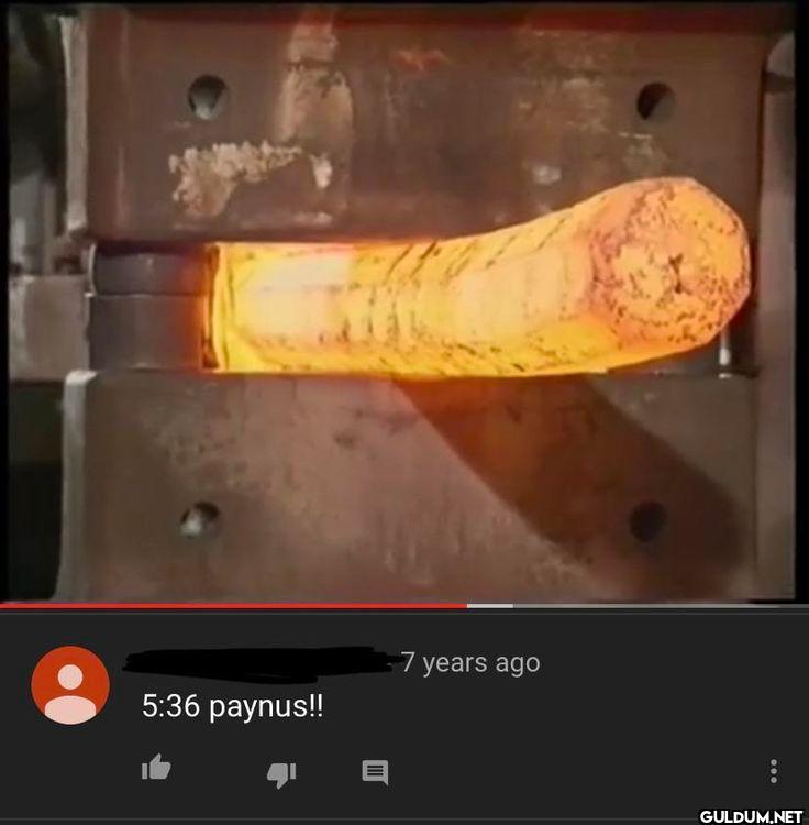 7 years ago paynus!!