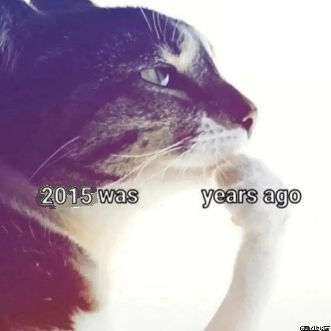 2015 was years ago