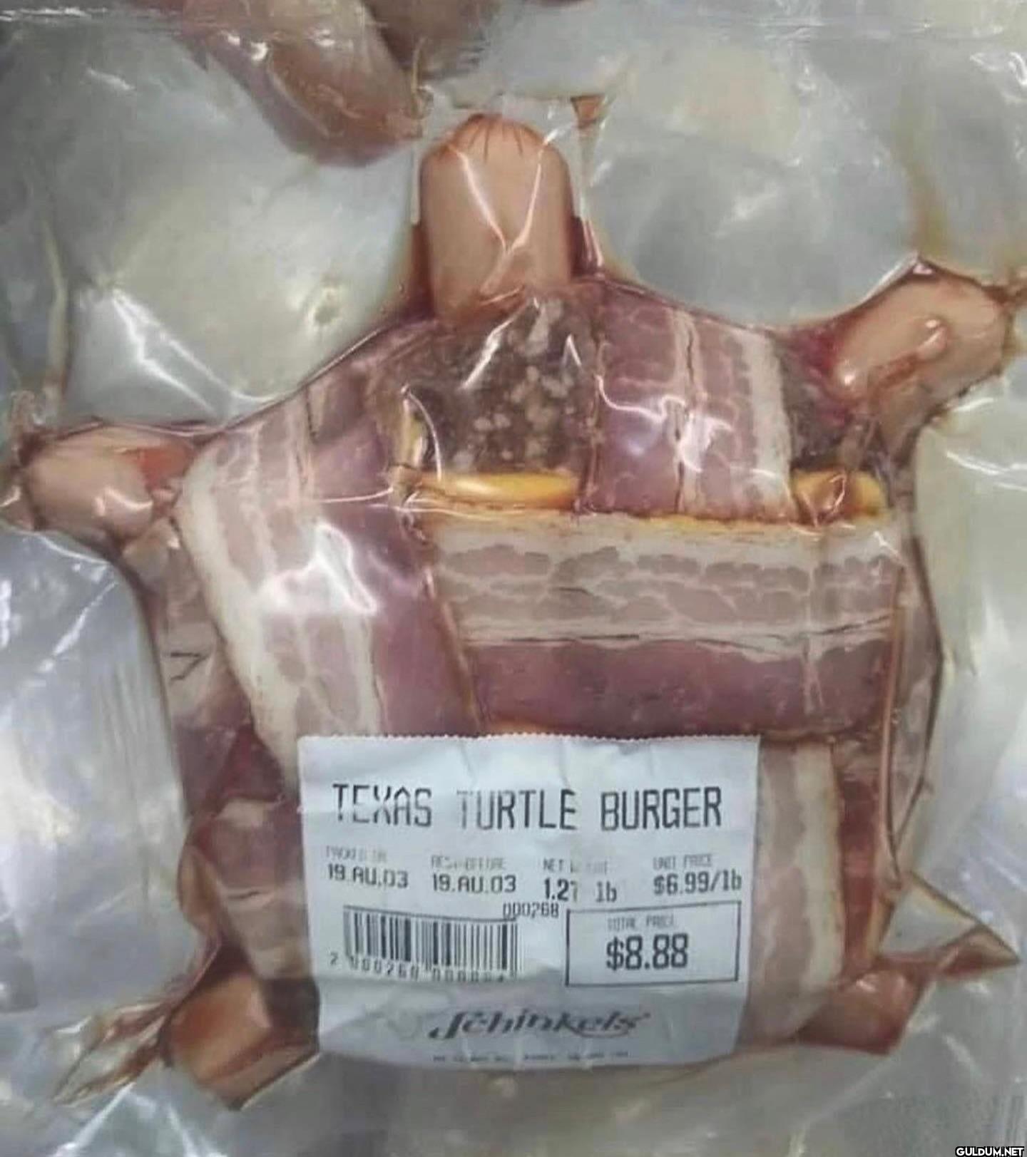 TEXAS TURTLE BURGER HTTURE...