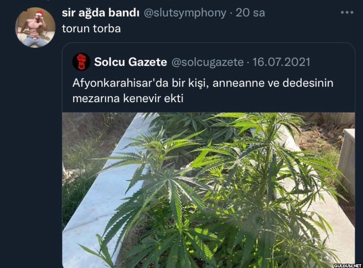 · 20 sa torun torba Solcu...