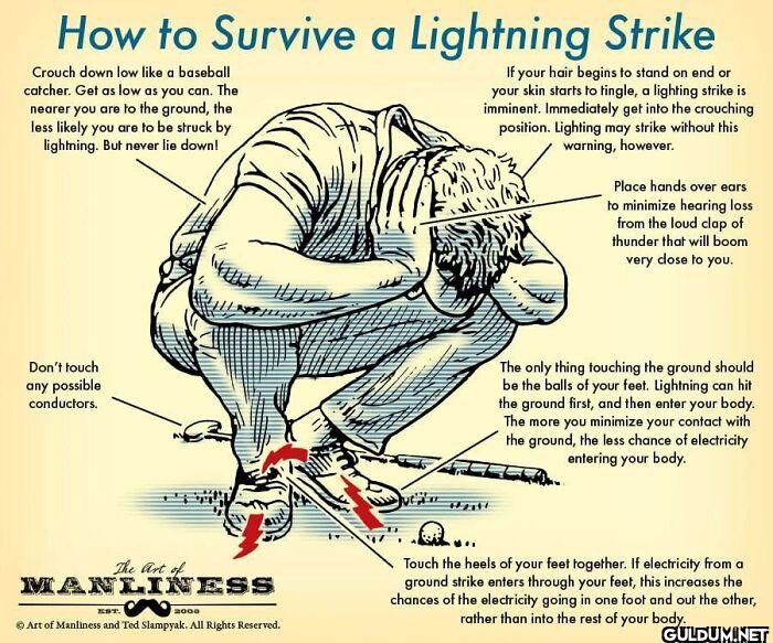 2. How to survive a...