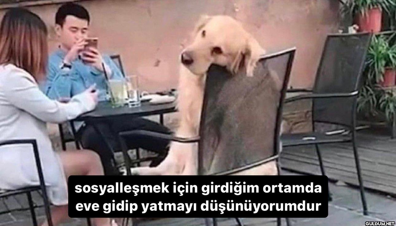 sosyalleşmek için girdiğim...