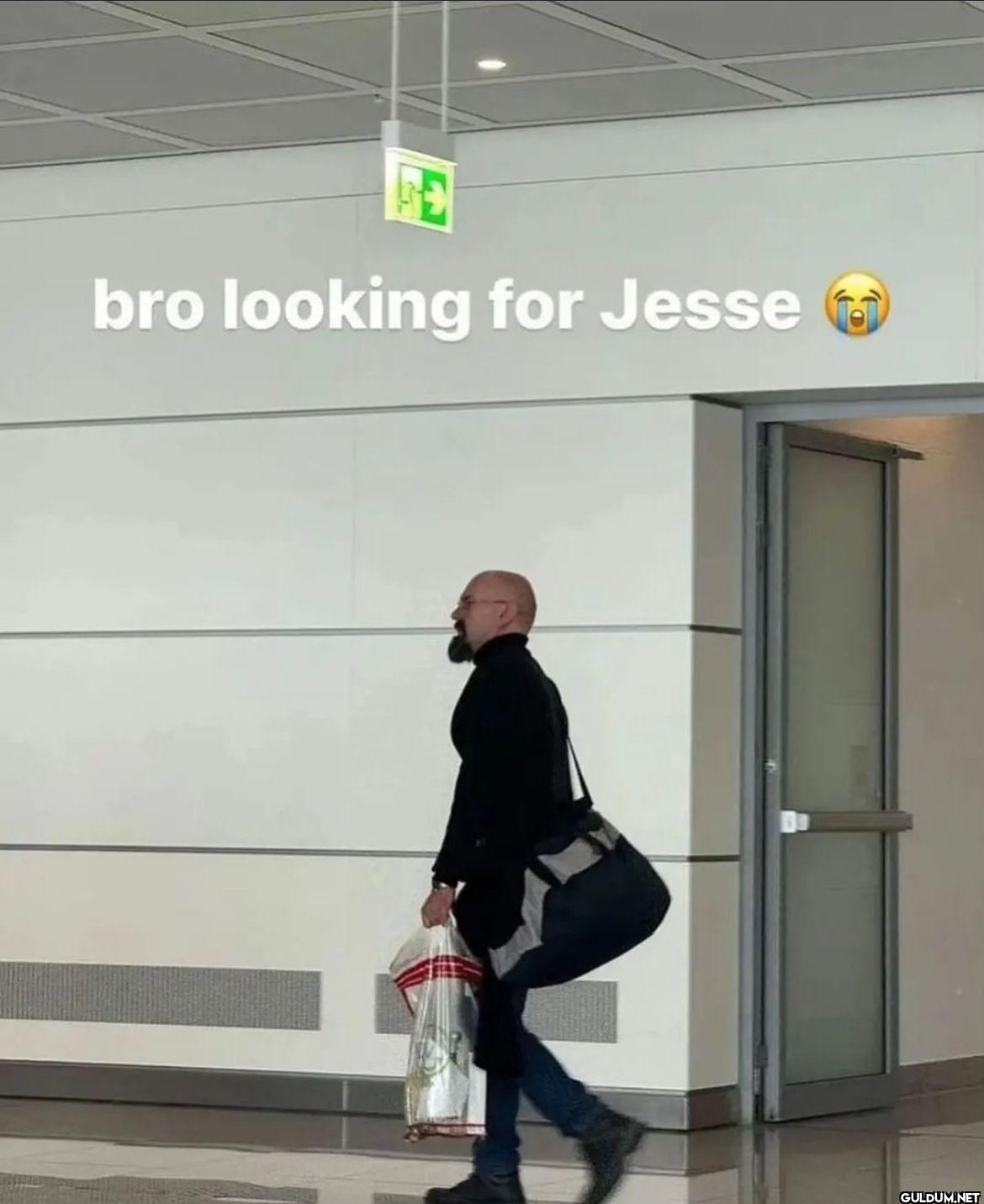 bro looking for Jesse