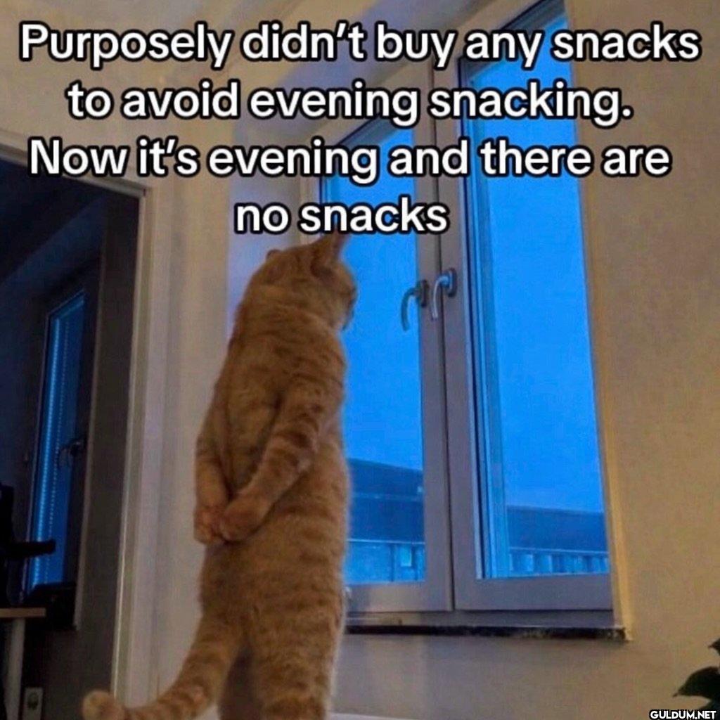 I really thought I was...