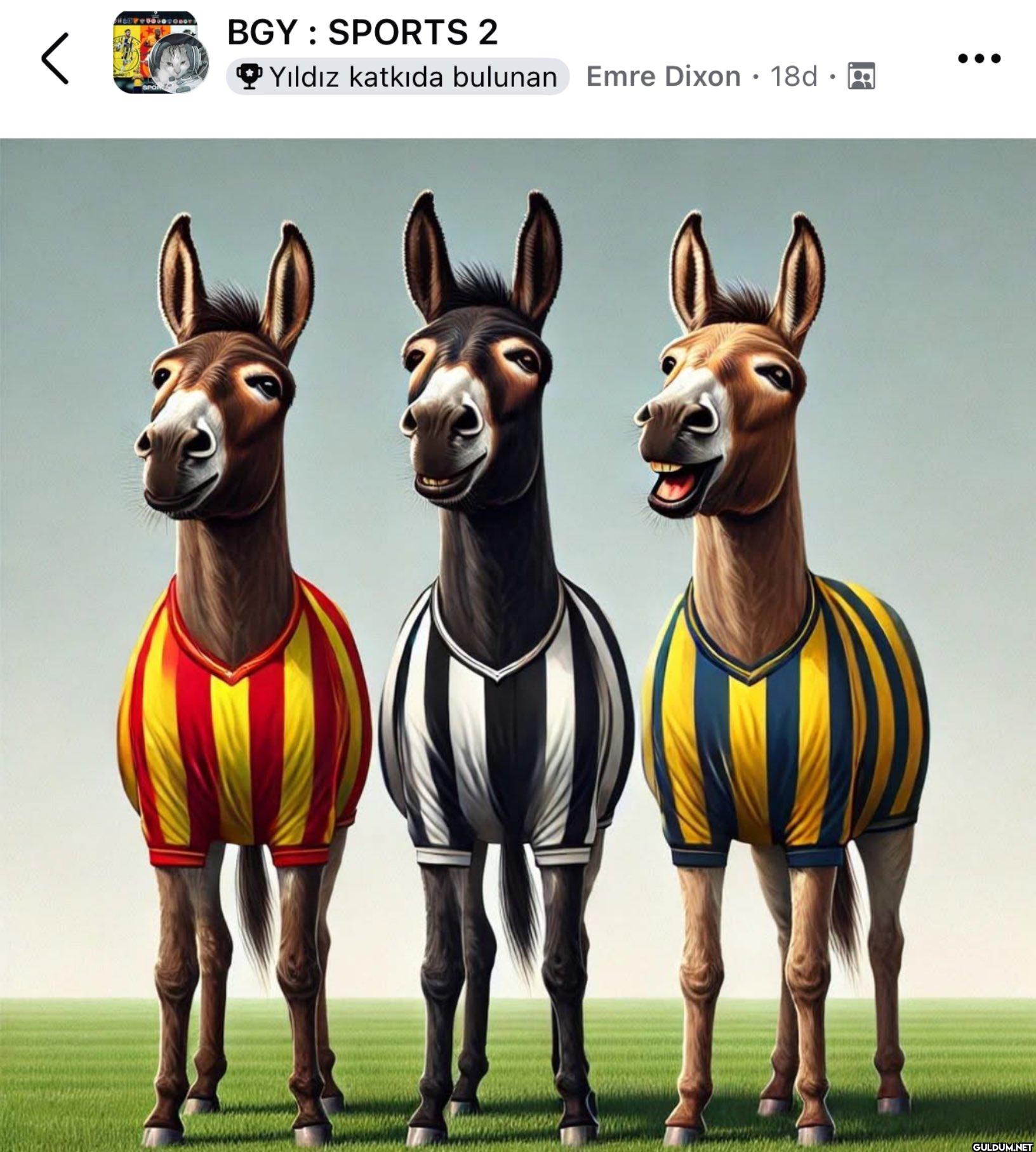 kardeşlerle şıkır şıkırız ...