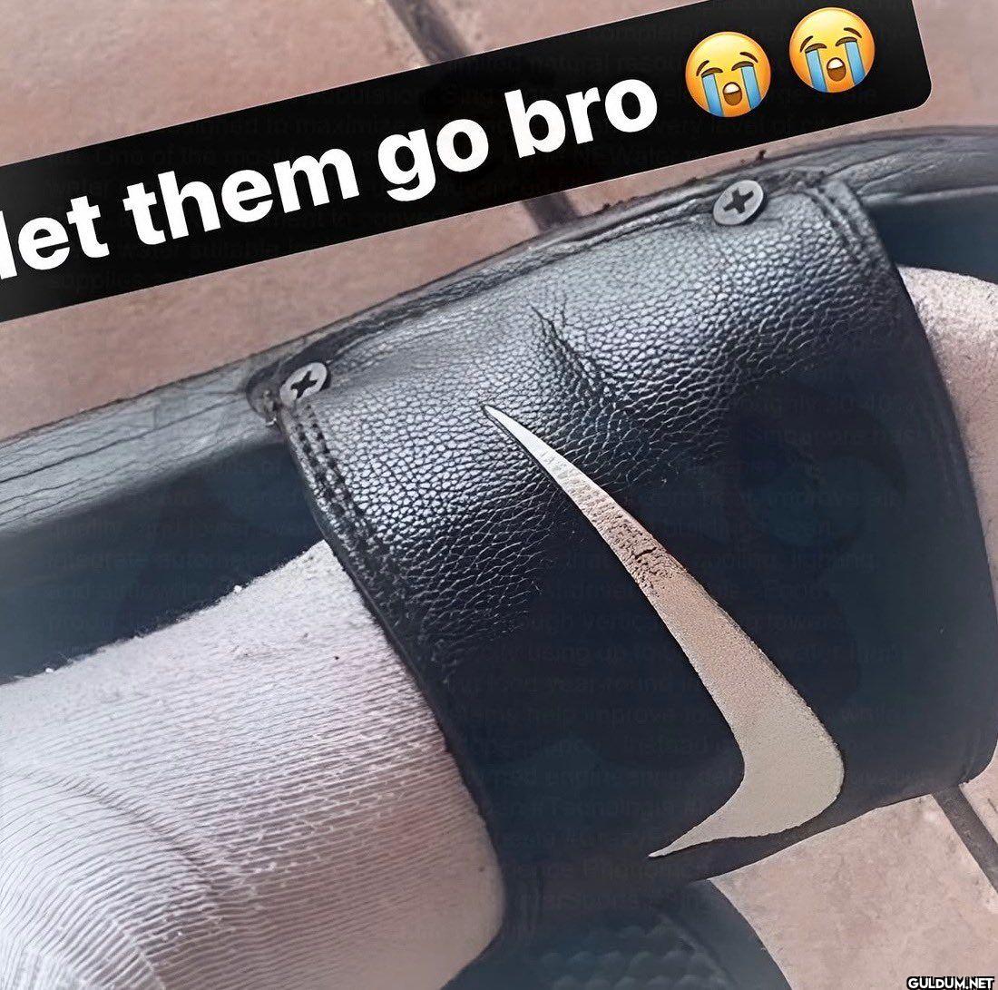 let them go bro