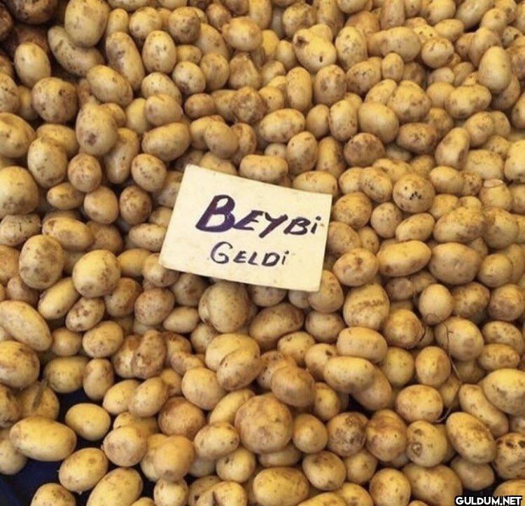 BEYBI GELDI