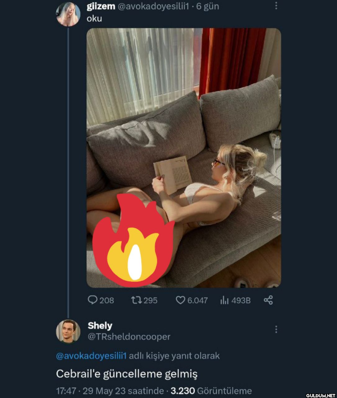 gün oku 208 17295 6.047...