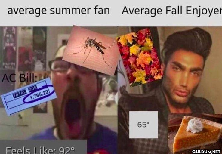 average summer fan Average...