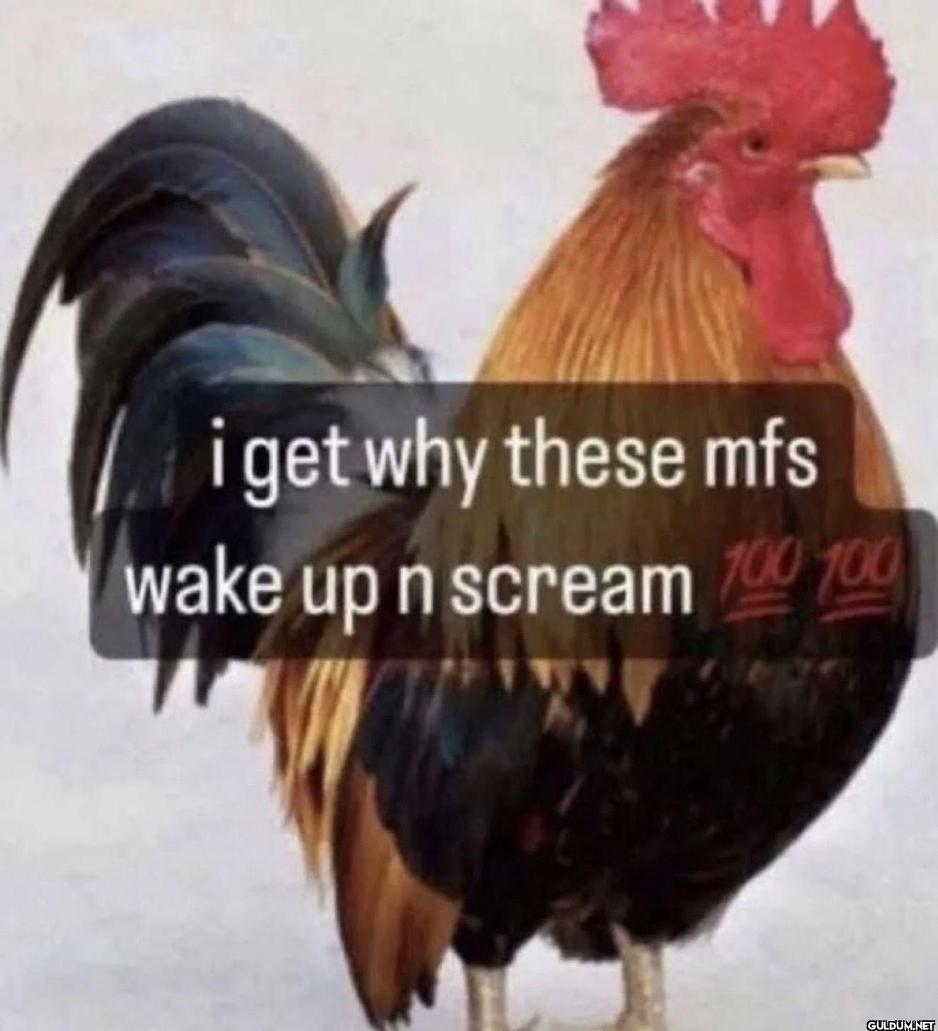 i get why these mfs wake...