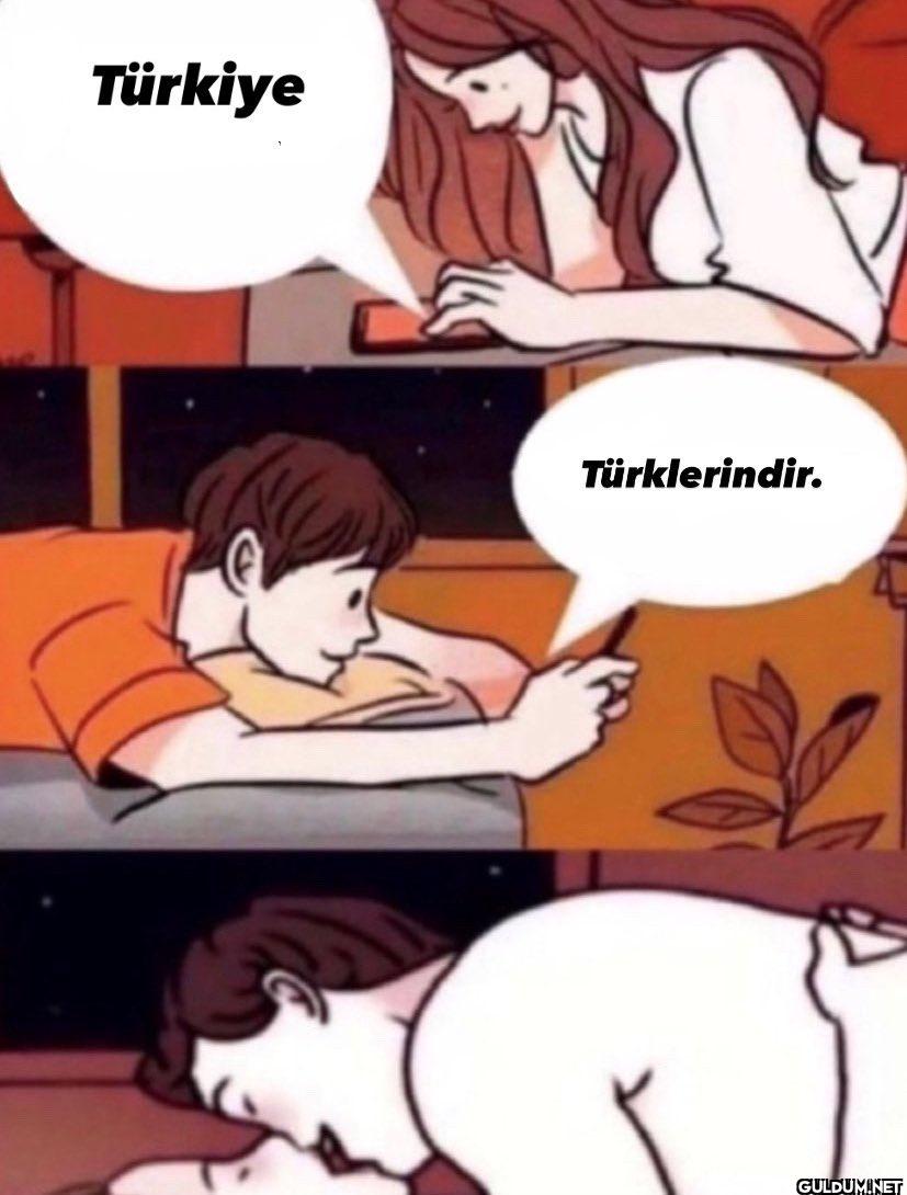 Türkiye Türklerindir.