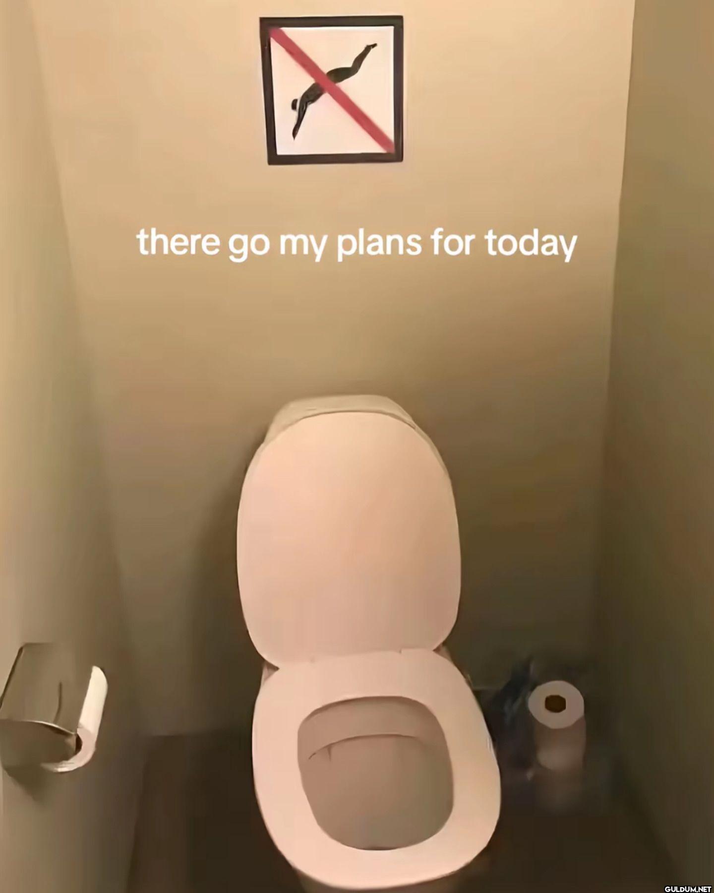 there go my plans for today