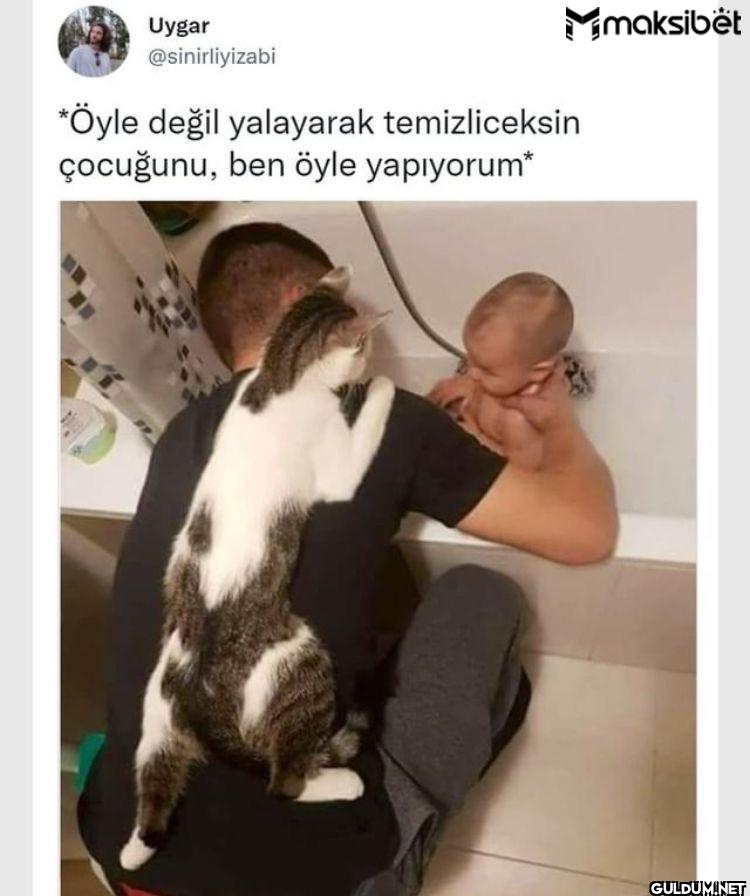 *Öyle değil yalayarak...