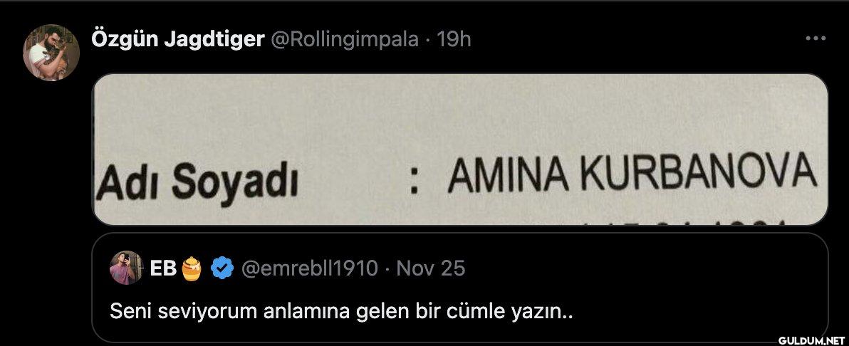 • 19h Adı Soyadı : AMINA...