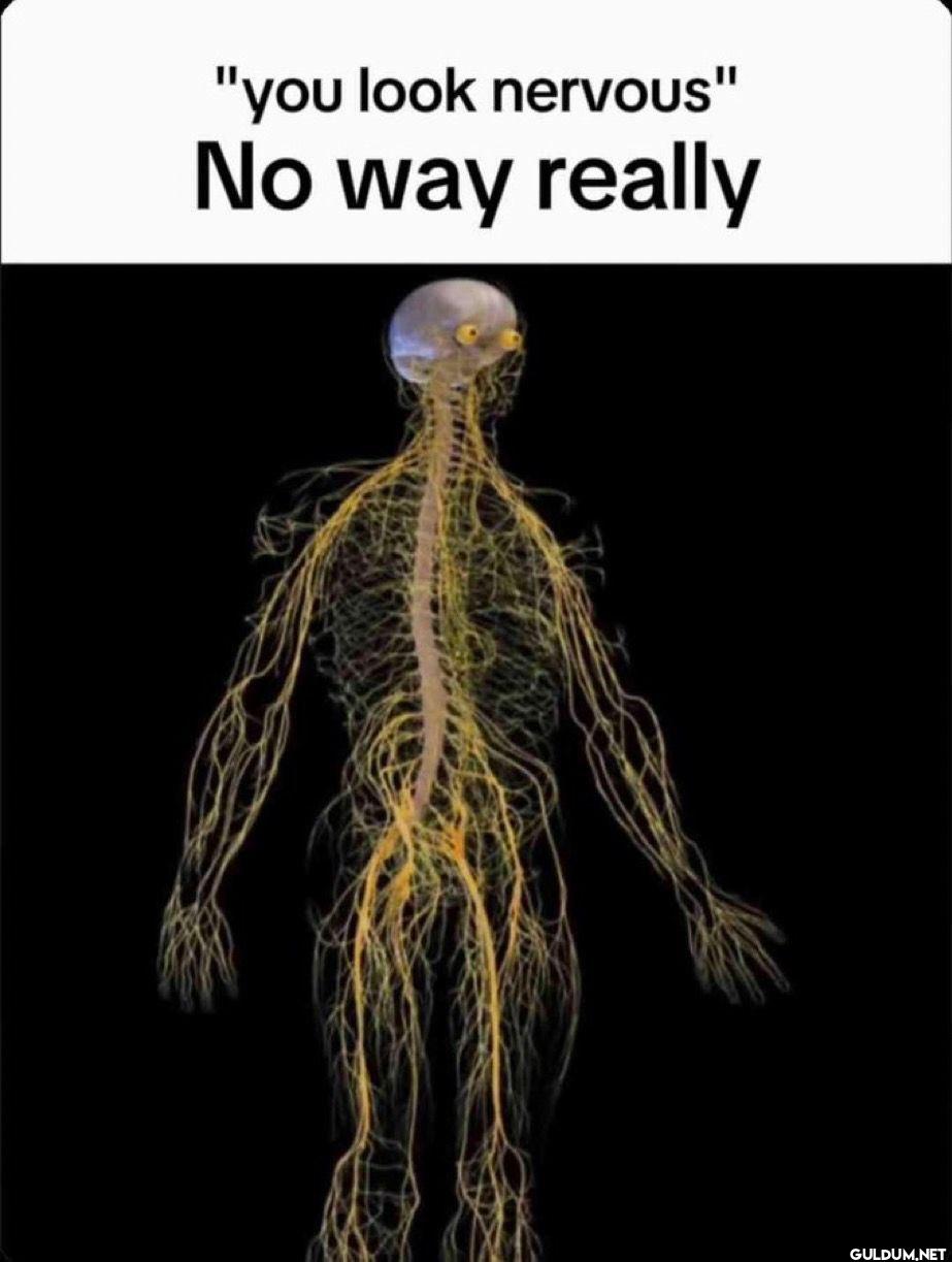 Popular post