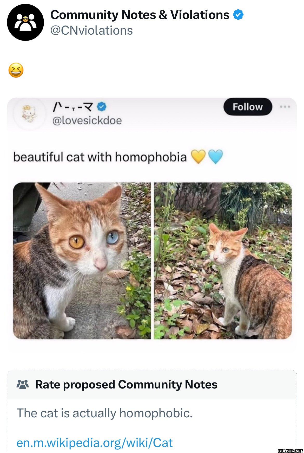 Popular post