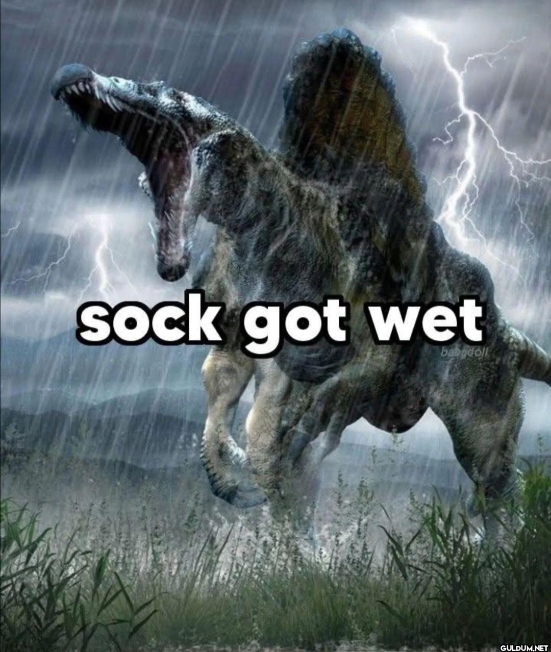 sock got wet babgdoll