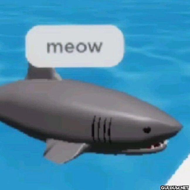 meow