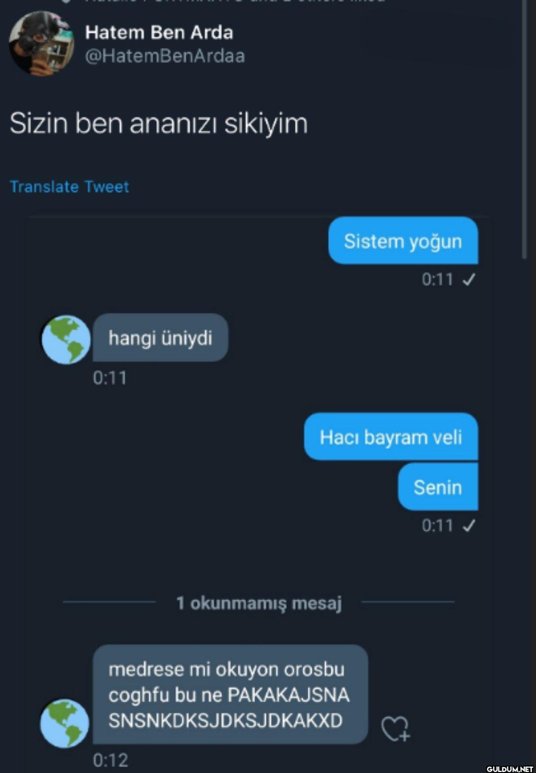 Sizin ben ananızı sikiyim...