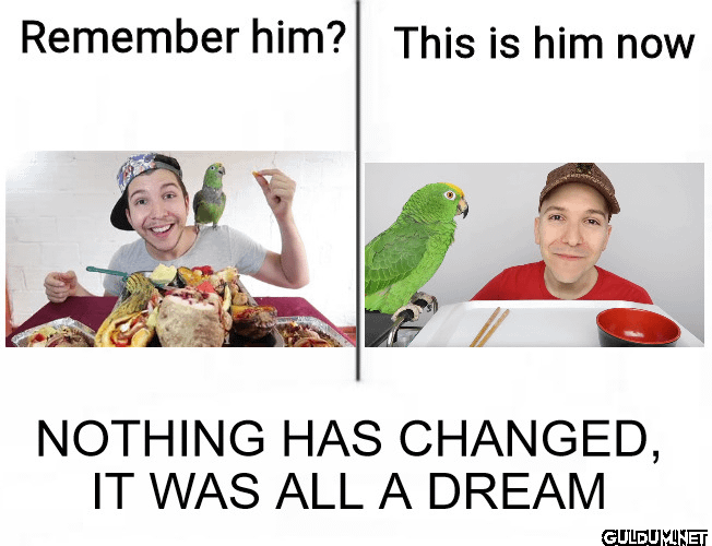 ㅤ    Remember him? This is...