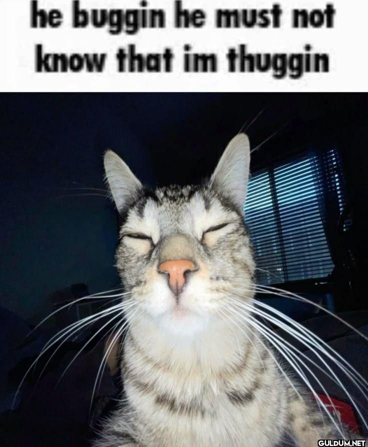 he buggin he must not know...