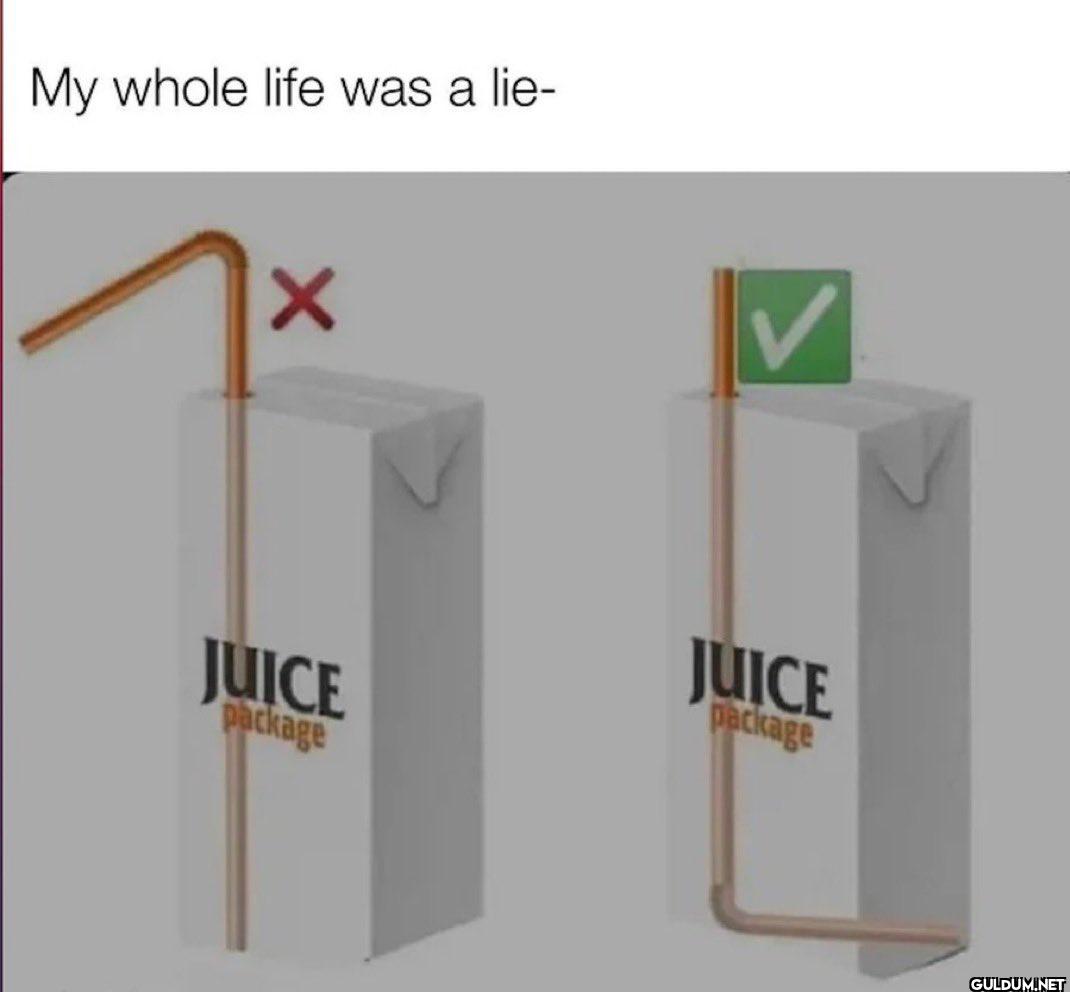 My whole life was a lie- ×...