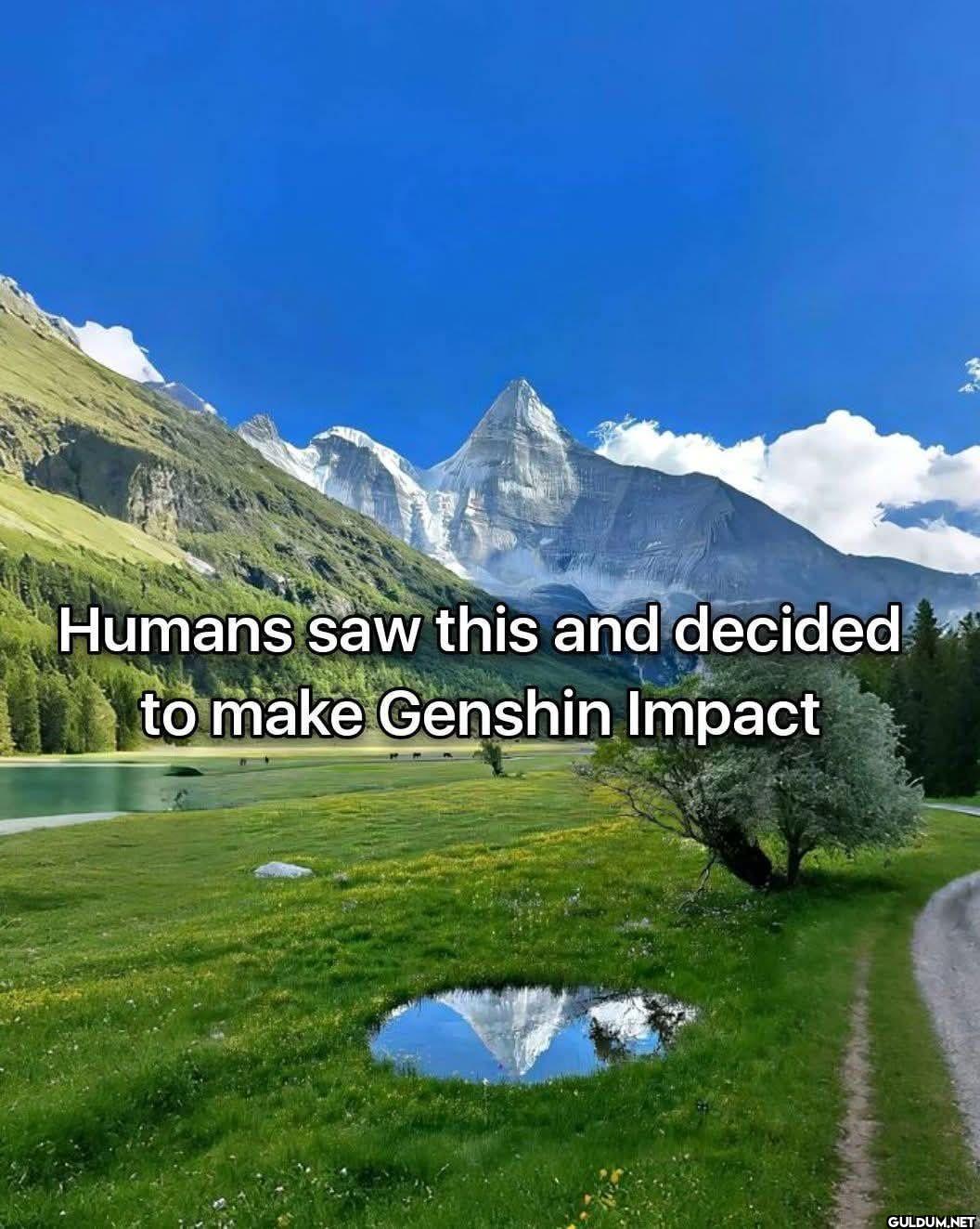 Humans saw this and...