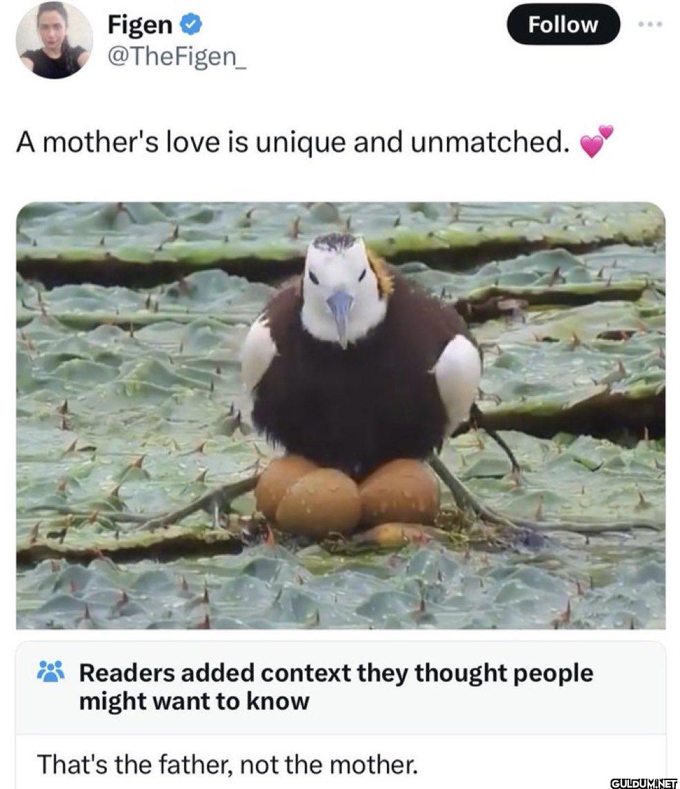 A parent’s love is...