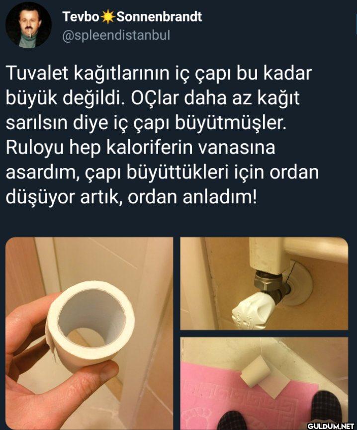 Tuvalet kağıtlarının iç...