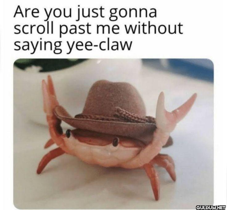 Are you just gonna scroll...