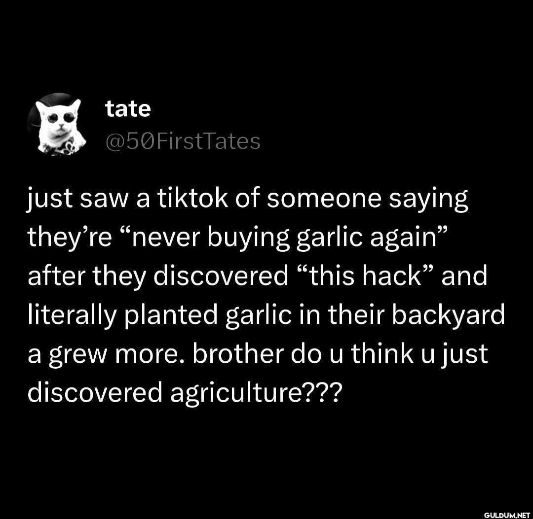 just saw a tiktok of...