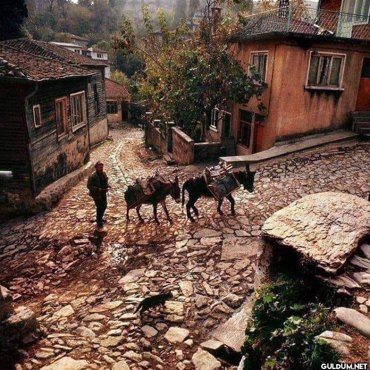 1973, Ara Güler’in...