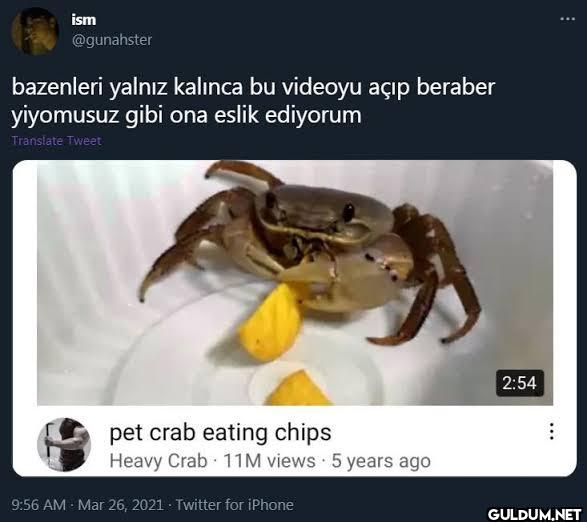 bazenleri yalnız kalınca...