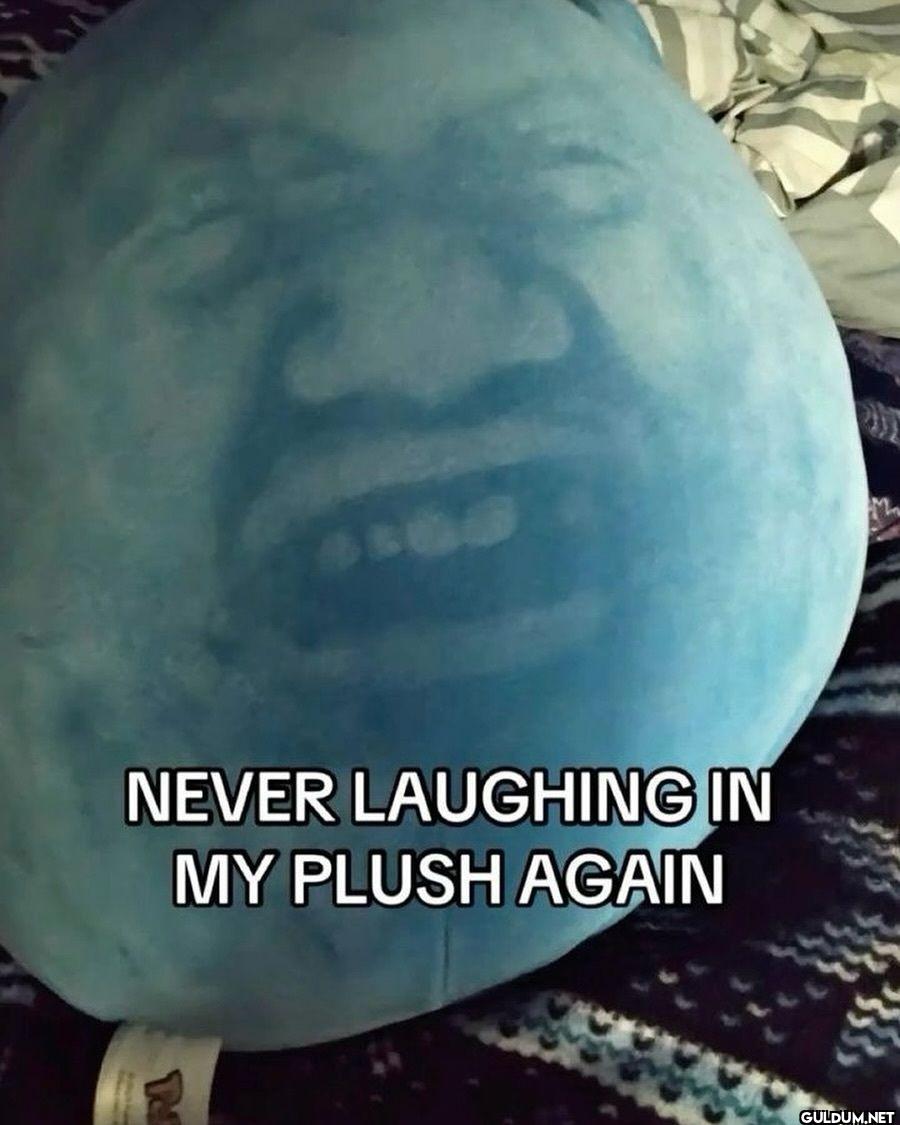 NEVER LAUGHING IN MY PLUSH AGAIN