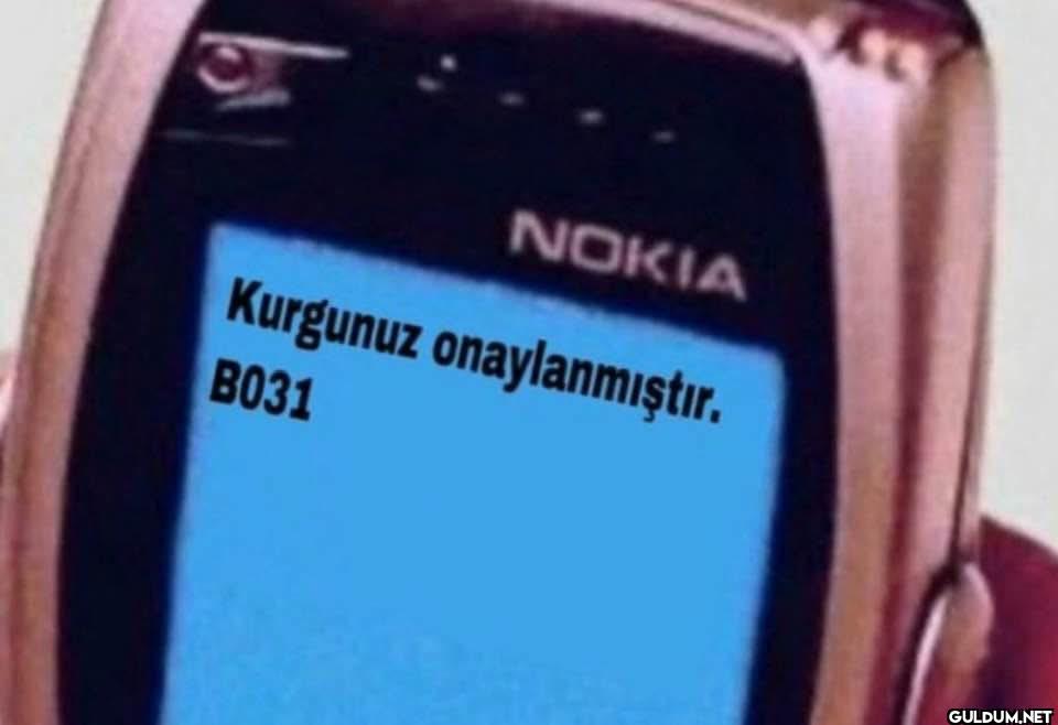 NOKIA Kurgunuz onaylanmıştır. B031