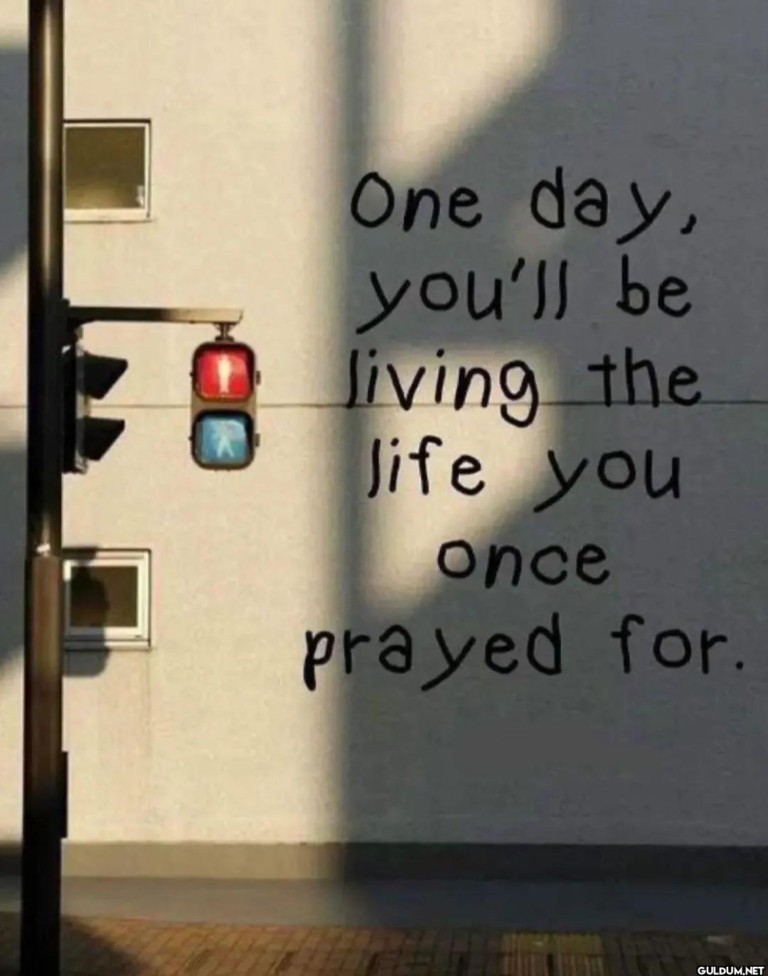 One day, you'll be 8...